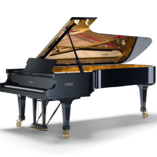 Rent the Divine 9 piano, Fazioli 308